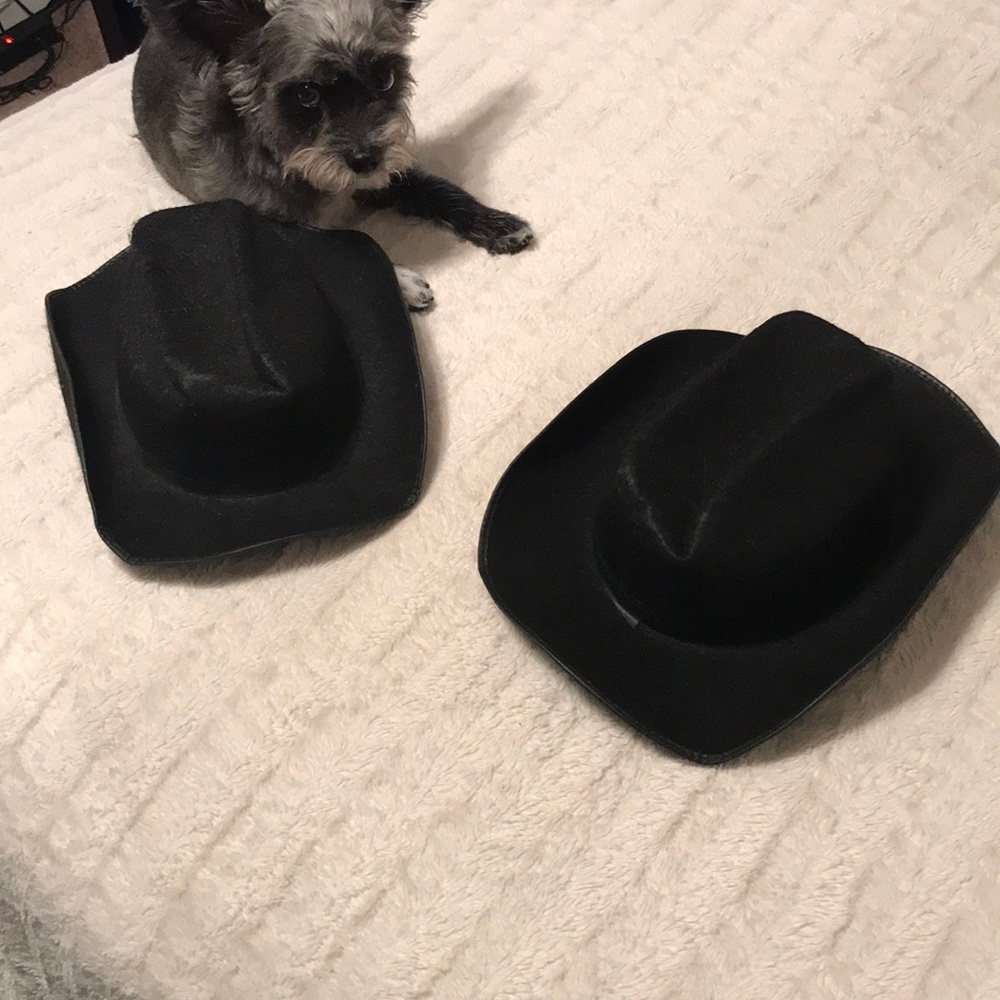 Cowboy Costume Hats